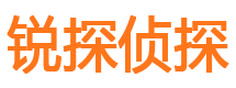 安县市调查公司